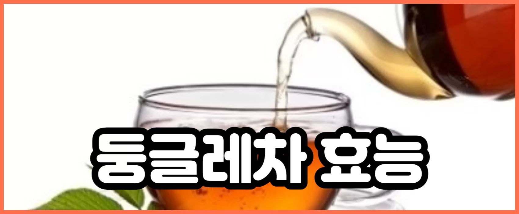 둥글레차 효능 물대신 먹으면 다이어트 효과가