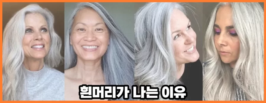 흰머리 나는 이유는 노화의 시작 때문