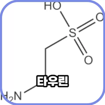 타우린 효능과 풍부한 해산물 음식